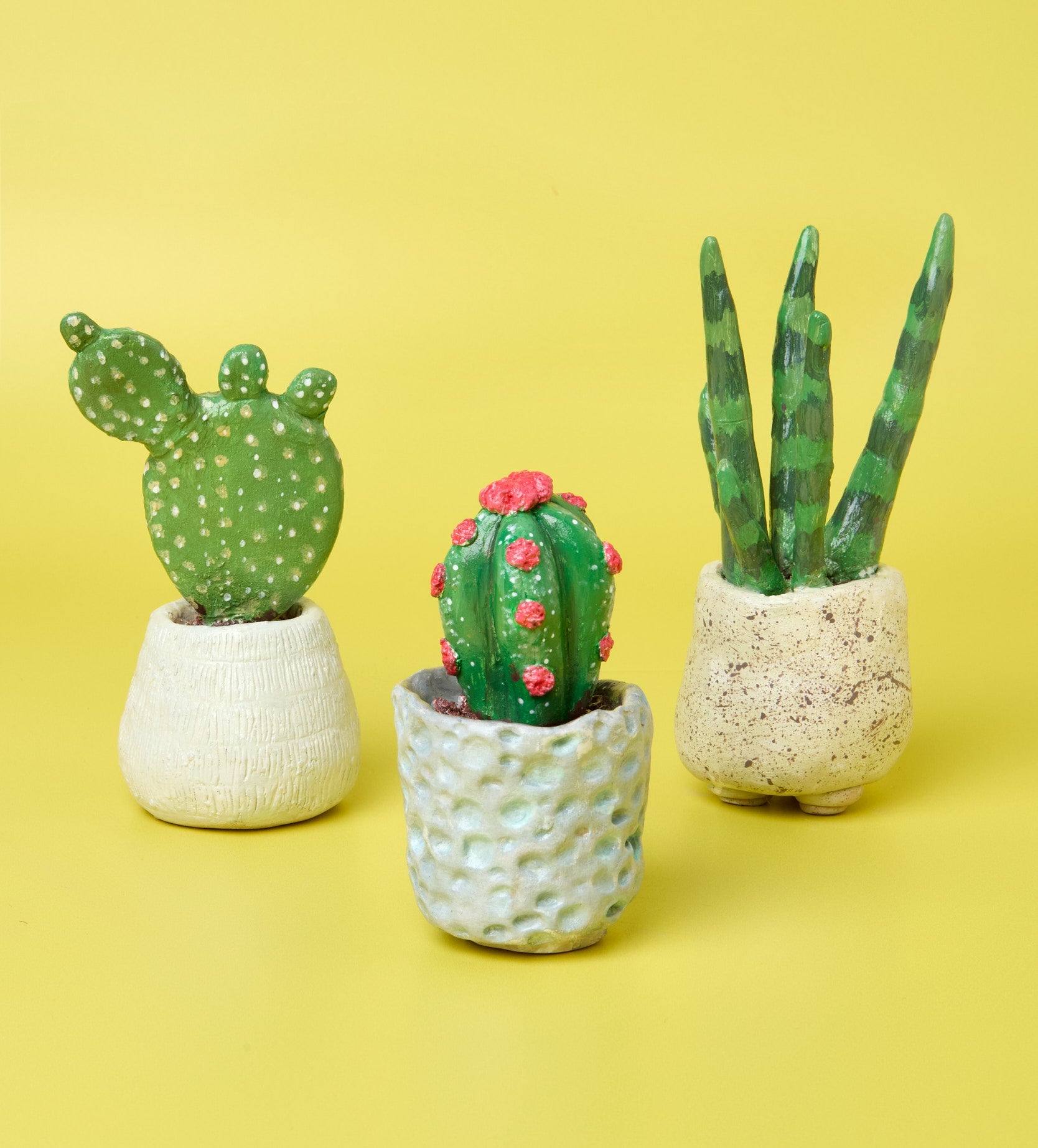 air dry succulents Succulent Sculptures – Pott'd AU
