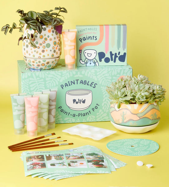 Paint-a-Plant Pot