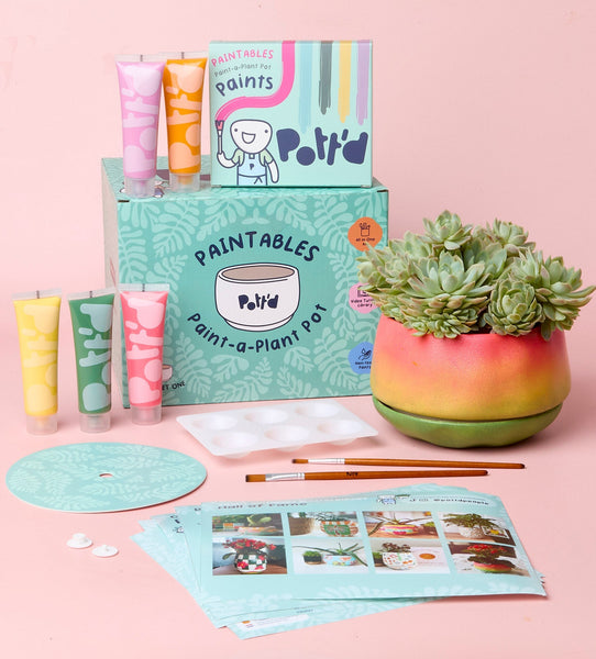 Paint-a-Plant Pot