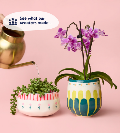 Paint-a-Plant Pot x2