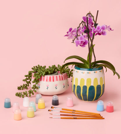 Paint-a-Plant Pot x2