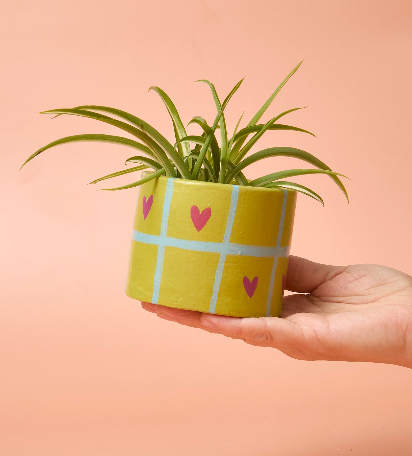 Home Pottery Kit